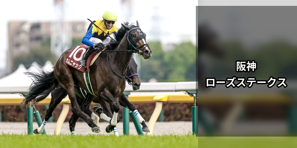 【2025/09/14（日）阪神11R ローズS（GⅡ）】結論3行｜◎◯▲と買い目だけ