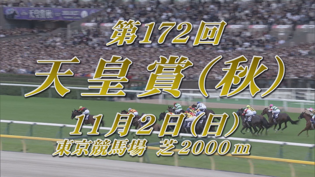【2025/10/26（日）東京11R 天皇賞（秋）（GⅠ）】結論3行｜◎◯▲と買い目だけ