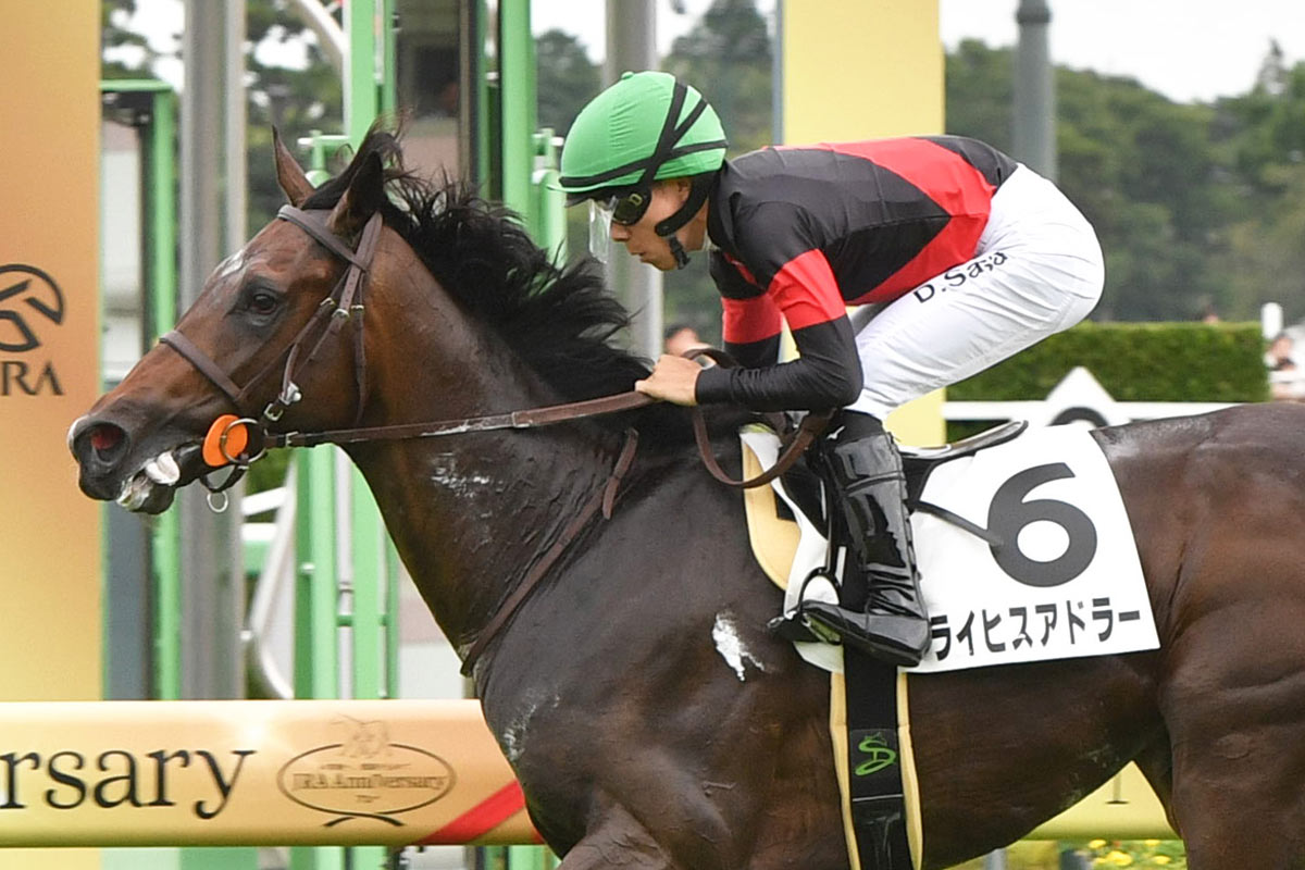 【東京スポーツ杯2歳S（GⅡ）】結論3行｜◎◯▲と買い目だけ